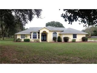 10607 Em En El Grove Rd, Leesburg, FL 34788-8916