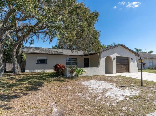 3151 Lecanto St, Tarpon Springs, FL 34691-3151