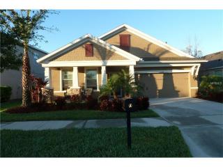 15304 Starling Crossing Dr, Lithia, FL 33547-4029