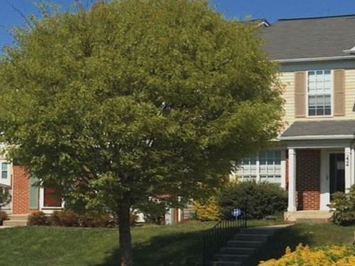 224 Kirbys Landing Ct, Odenton MD  21113-2626 exterior