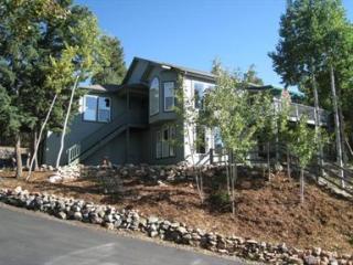 11647 Leavenworth Dr, Conifer, CO 80433-7520