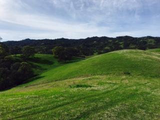 22871 County Road 23, Esparto, CA 95627-2147