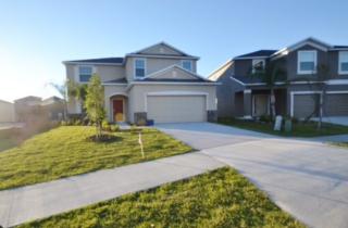 1808 Oak Pond St, Ruskin FL  33570-7995 exterior