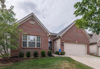 732 Sprucewood Dr, Lexington, KY 40514-1191